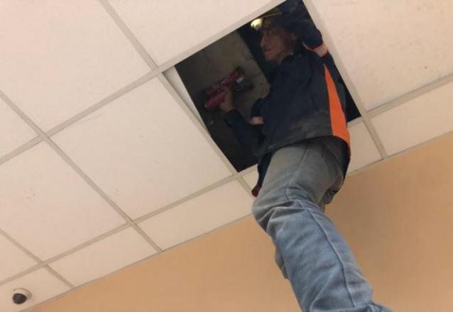 Identifikasi Tulangan