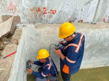 Pemindaian Pulse Echo